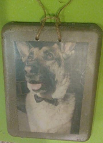A pet-emlékmű fotó nyomtatva konkrét ideális képet ajándék kutya tulajdonosok, mind a macska szerelmeseinek